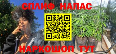 шишки Свободный