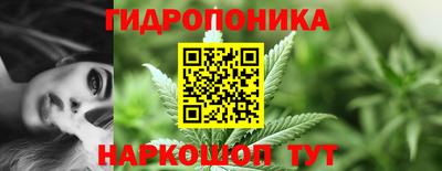 spice Севастополь