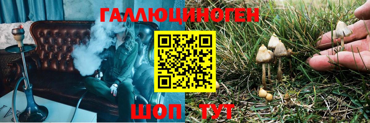 Кокаин Партизанск
